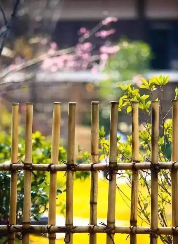 农村篱笆小院图片美文共享篱笆小院，静守流年
