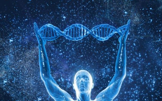 简述人类基因组计划的主要内容和意义？