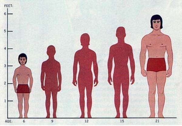 中国男人的平均身高是多少？