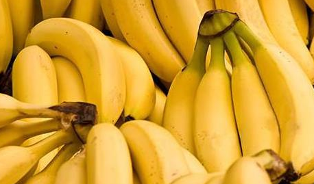 香蕉为什么是弯的?