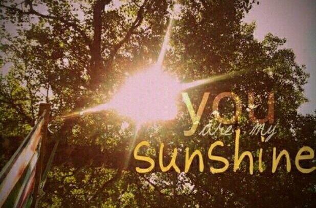 求英文歌 You are my sunshine的英文歌词和中文翻译