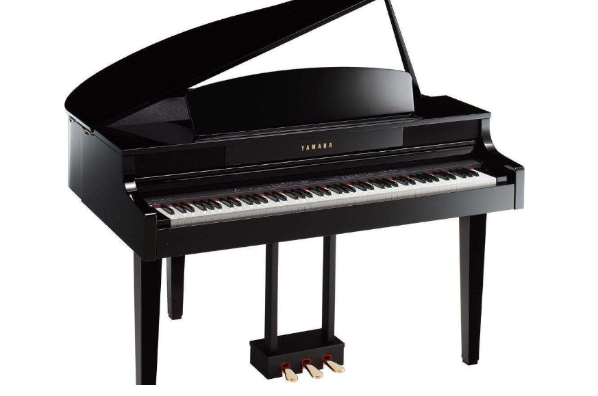 知道钢琴共有多少个键吗?黑白键分别是多少?