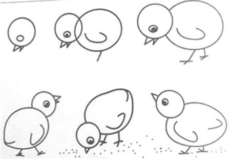 鸡鸭觅食 简笔画图片